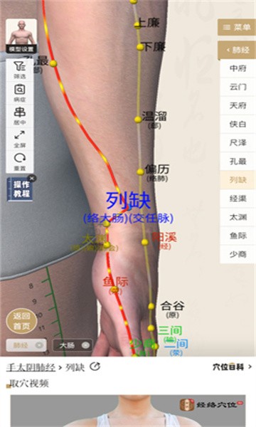 中济经络穴位软件最新版