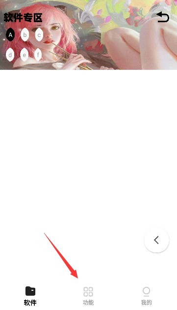 倾城软件库蓝奏云最新版2024下载