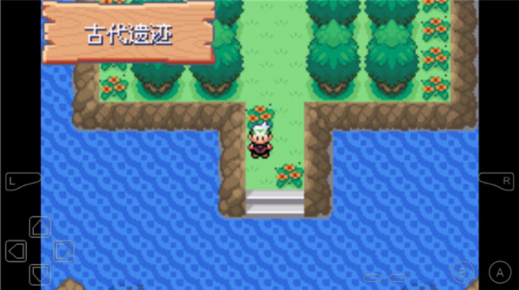 口袋妖怪永恒之沫3.00