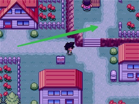 宝可梦SA手机版