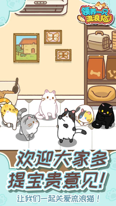 领养一只流浪猫0