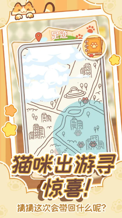 领养一只流浪猫2