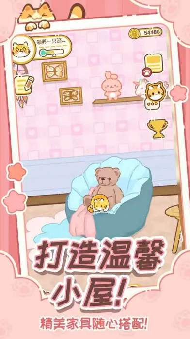 领养一只流浪猫3