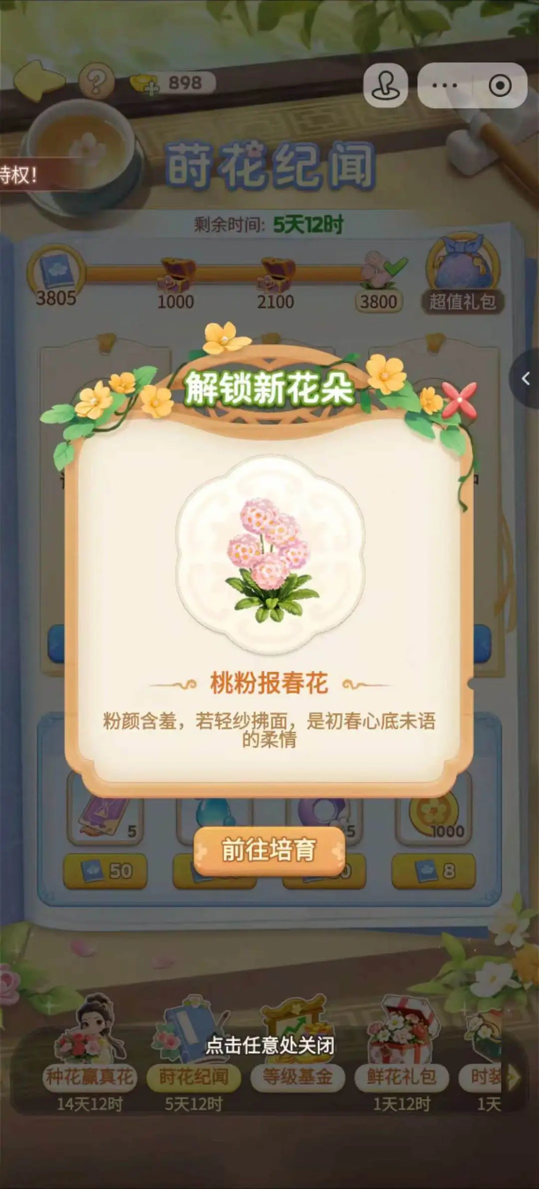 我的花园世界剧情完整版