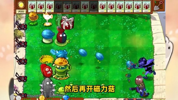 植物大战僵尸盲盒版