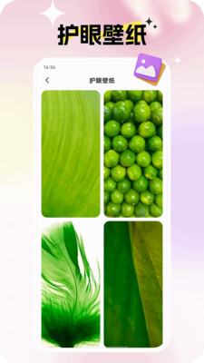 灵蝶壁纸最新版2