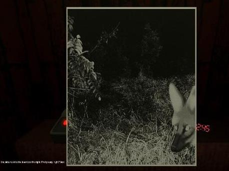 动物观察员游戏