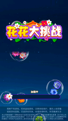 花花大挑战赚钱版