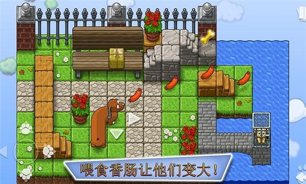 全家小狗救援队27843