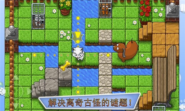 全家小狗救援队27843