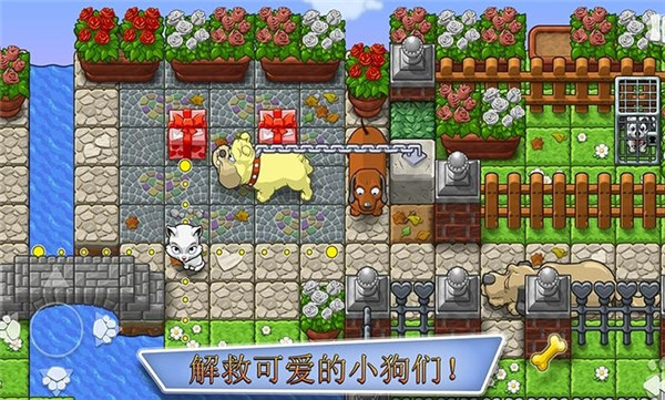 全家小狗救援队27843