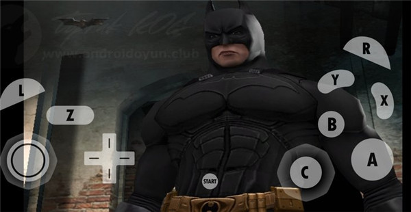 蝙蝠侠侠影之谜0