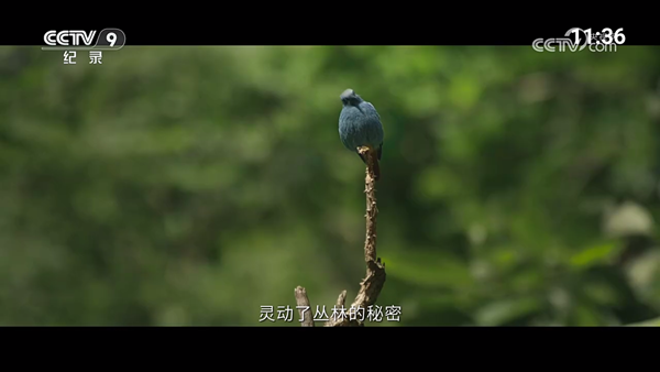 超的电视TV版14864