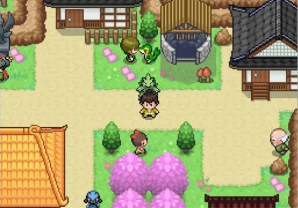 宝可梦武士道手机版2