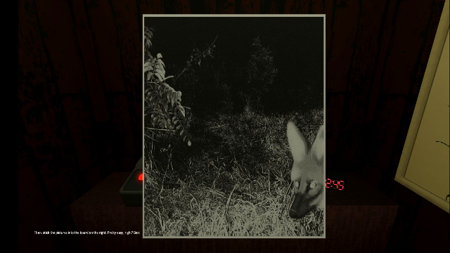 动物观察员中文版28117