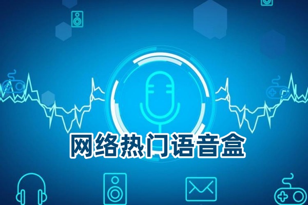 热门语音盒