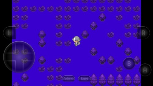 口袋妖怪生与死中文版0