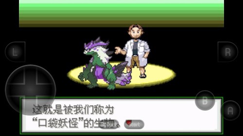 口袋妖怪生与死中文版2