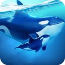 小小水世界安卓版