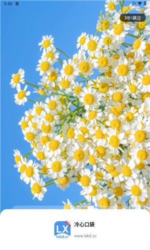 冷心口袋1.0.4版本