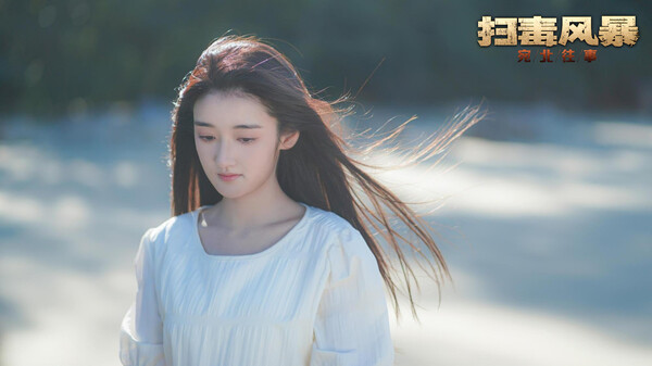 扫毒风暴宛北往事2