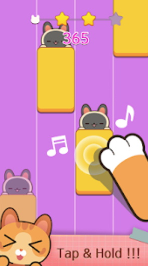 猫咪弹钢琴1.3.02