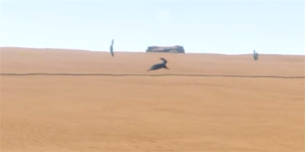 长途旅行2主播同款1