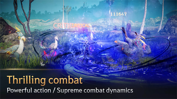 黑色沙漠国际服中文版0