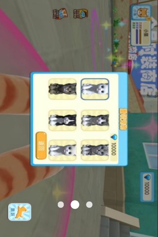 猫咪奶奶开世记0