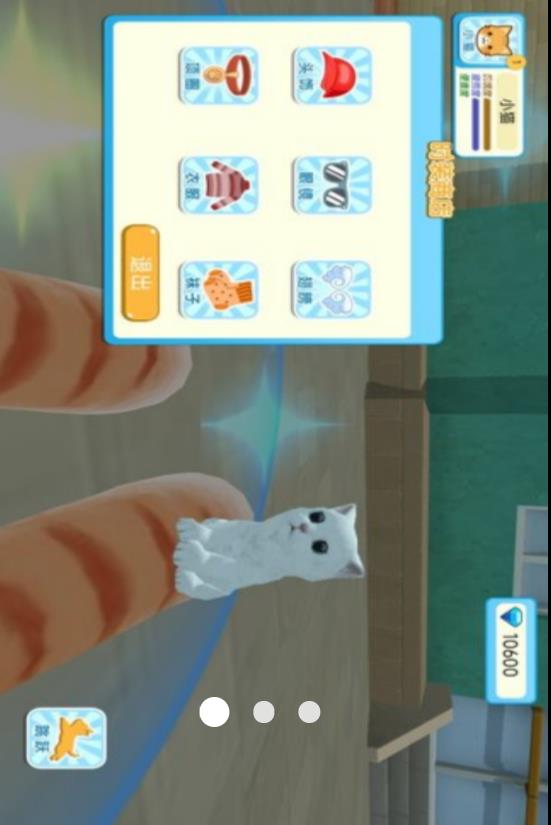 猫咪奶奶开世记2