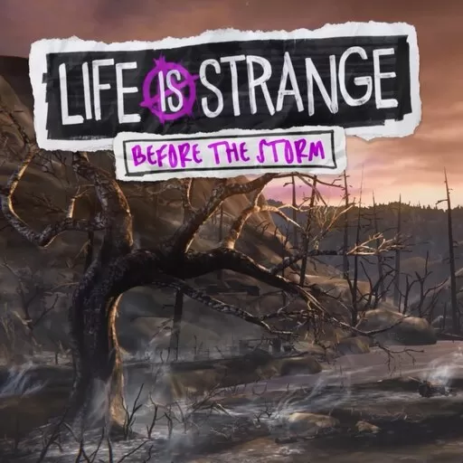 奇异人生风暴前夕重制版