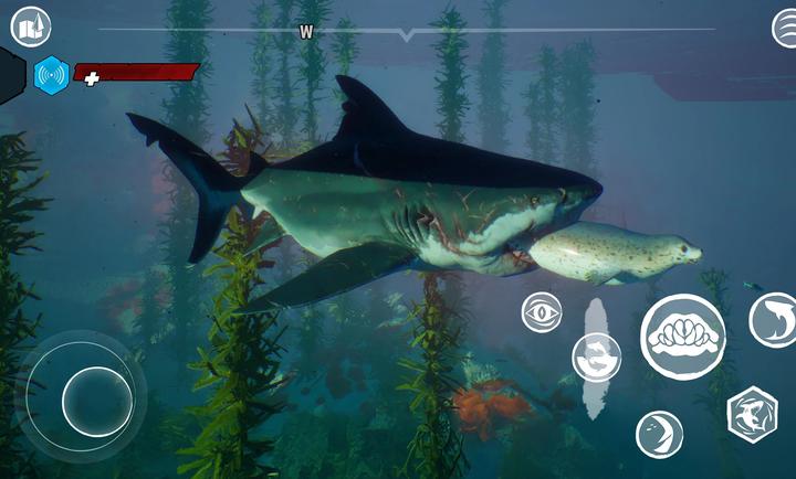 食人鲨最新版29981