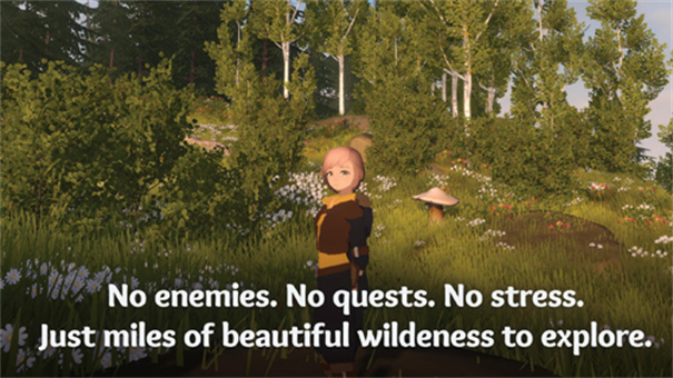 荒野经典版中文版30030