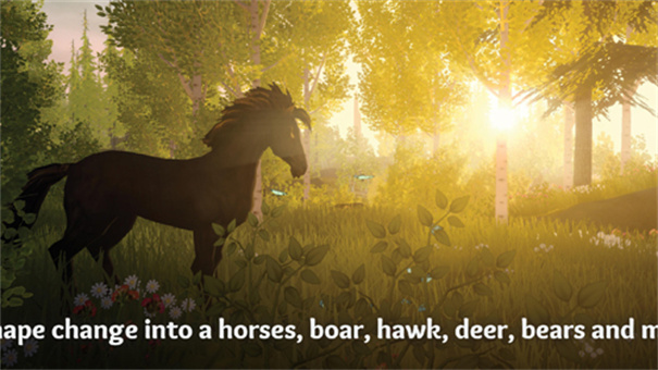 荒野经典版中文版30030