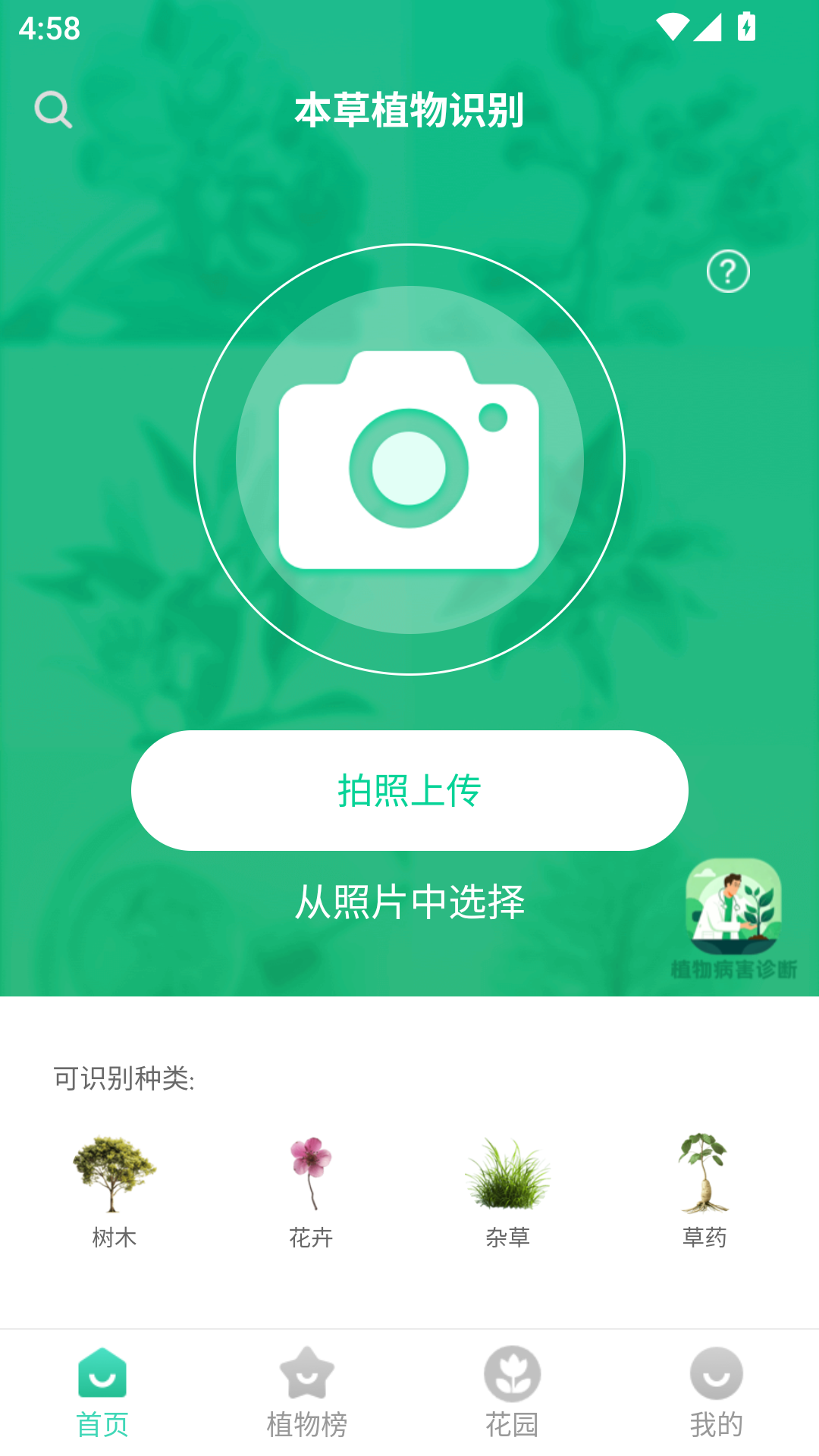 本草植物识别15882