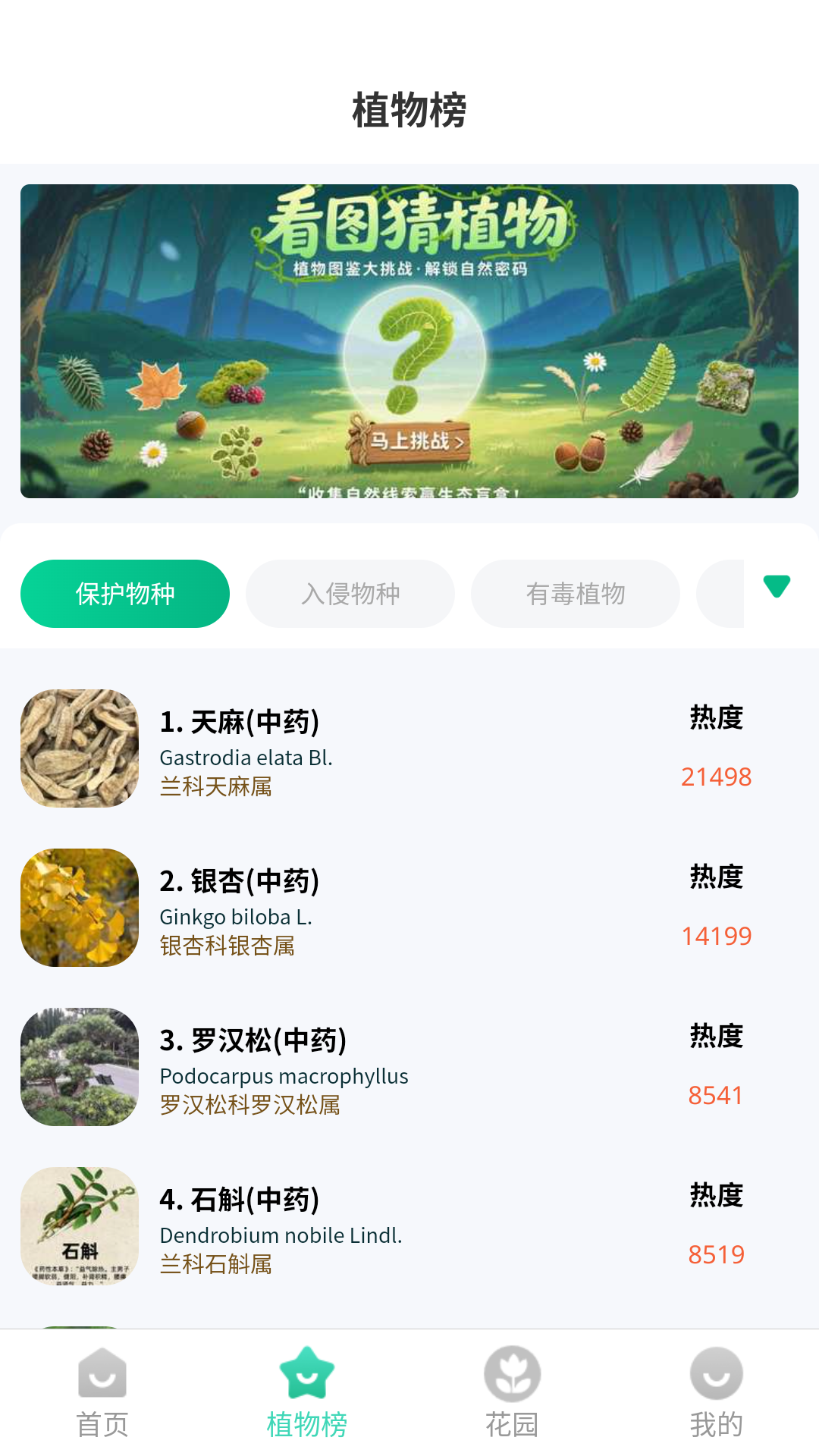 本草植物识别15882