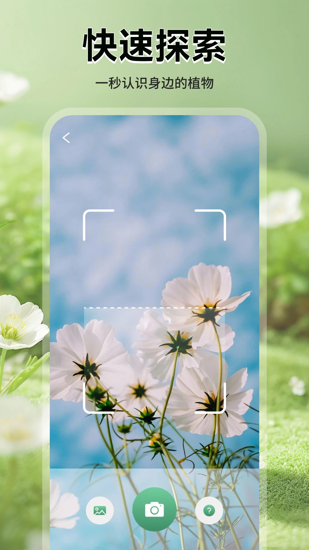 花团锦绣拾光15906