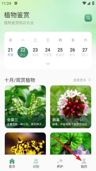 花团锦绣拾光