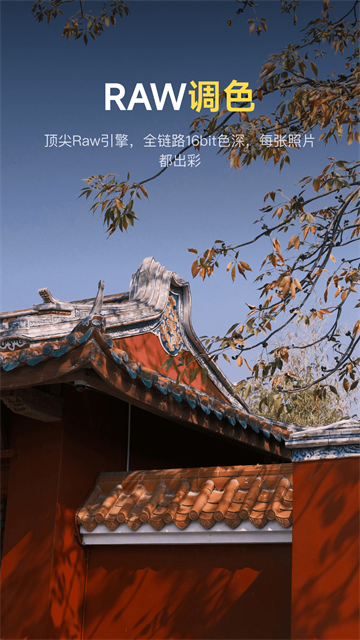 像素蛋糕202615947