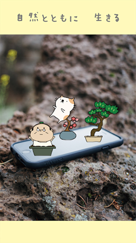 盆栽大师中文版1.2.030276