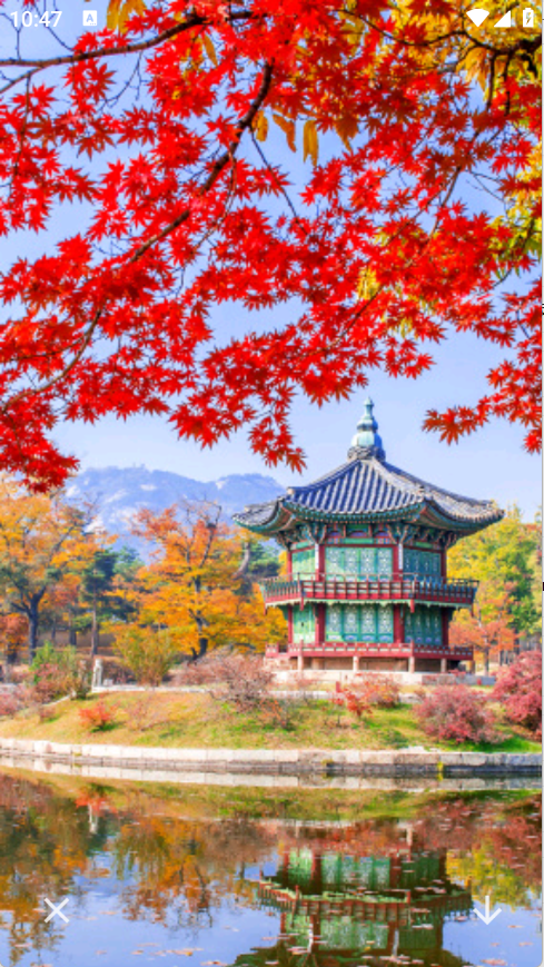 神图壁纸精灵2026最新版16008