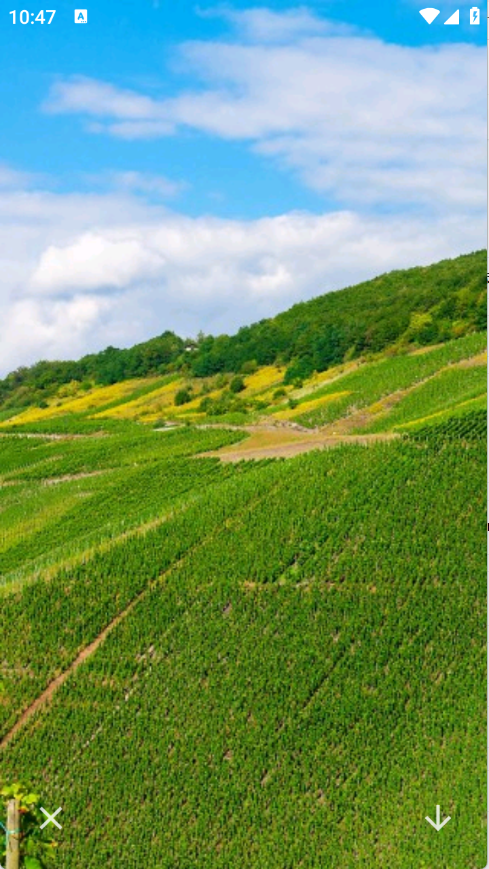 神图壁纸精灵2026最新版16008