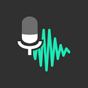 Wave Editor高级版