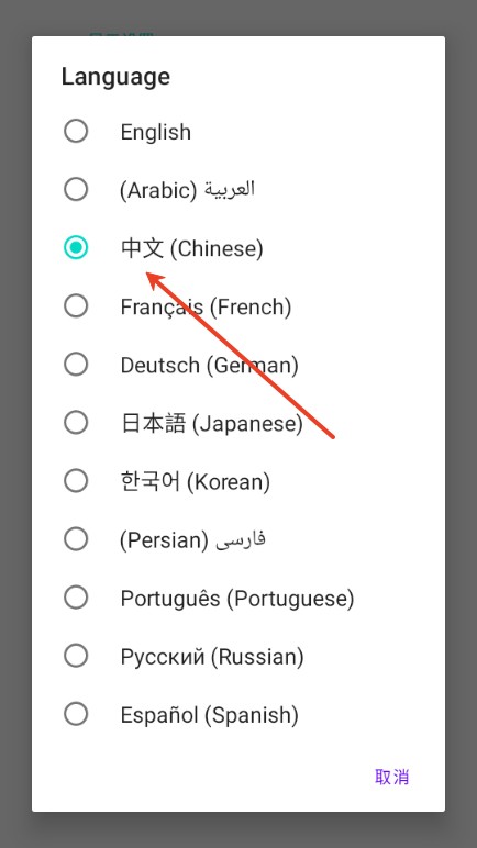 xanite模拟器最新版怎么设置中文?-3