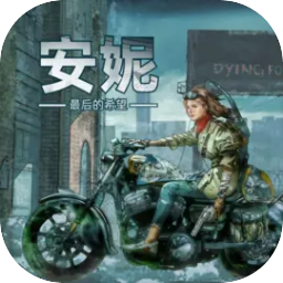 安妮最后的希望中文版