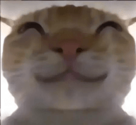 鼠鼠偷吃模拟器网页版