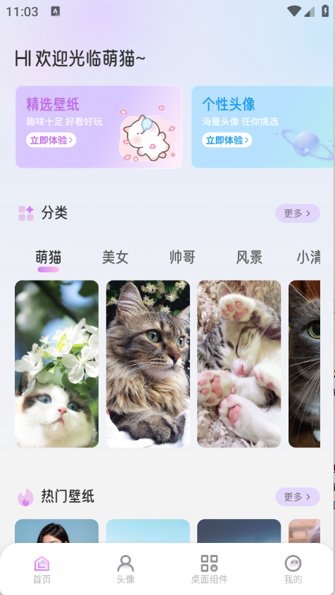 萌猫派对壁纸