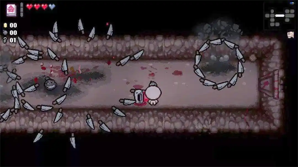 以撒的结合胎衣0