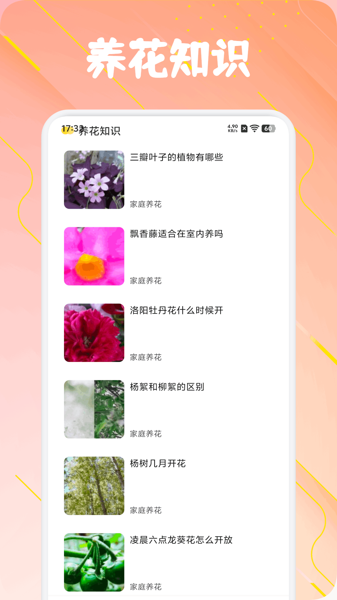 识鲜花盛开16294