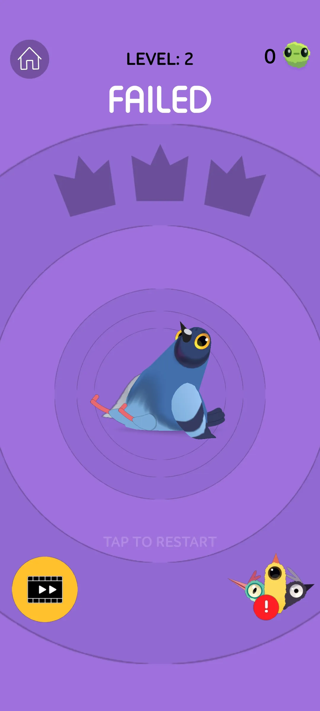 疯狂的鸽子最新版31099